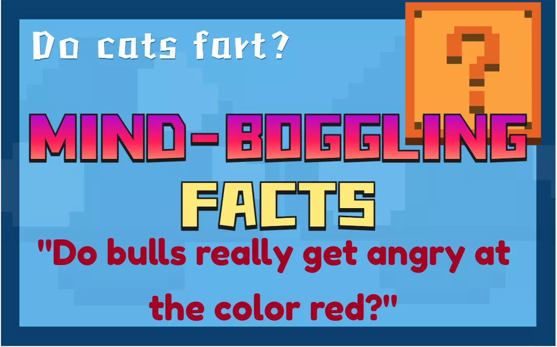 5 Websites take You to Discover Bizarre and Interesting Facts you never know