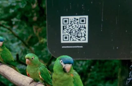 qr code